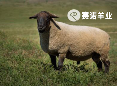 薩?？?>
                                    </a>
                                    <a href=